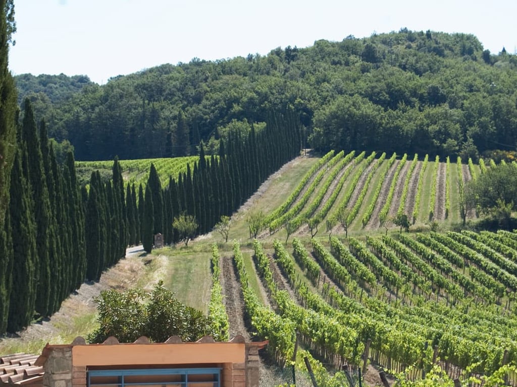 Scaparzi | Serviced Villa and Pool in Tuscany