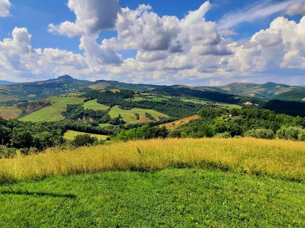 Villa Bianca | Elegant villa for 26 in the Val d'Orcia