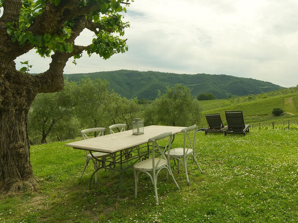Vendemmia | Tuscan apartment on a wine estate near Florence