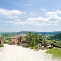 Damiano