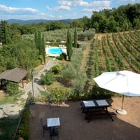 Pinolo