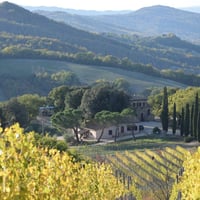 Scaparzi