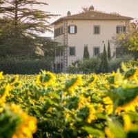 Villa Cortona