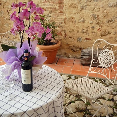 Canaiolo | Chianti villa for four with a shared pool
