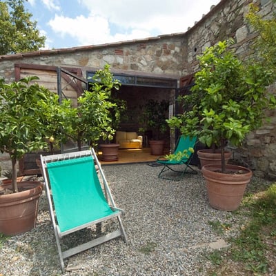 Limonaia