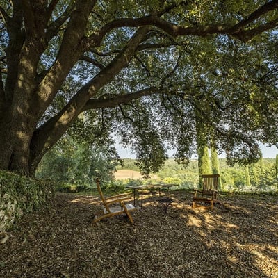 Ginestreto | Elegant Tuscan Villa by Cetinale with Pool & Tennis