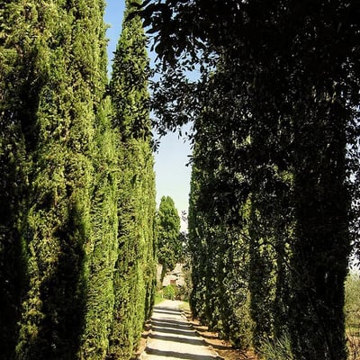 Ginestreto | Elegant Tuscan Villa by Cetinale with Pool & Tennis