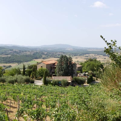 Pinolo