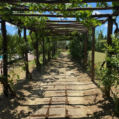 Podere Sant'Adele | Private Tuscan Villa for ten near Cetona