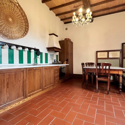 Sangiovese | Spacious apartment in Chianti with wonderful views