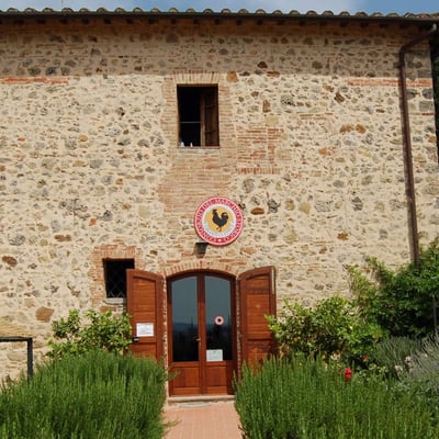 Sangiovese | Spacious apartment in Chianti with wonderful views