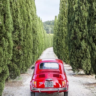 Driveway