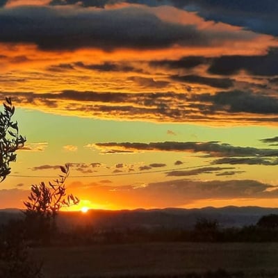 Villa Bianca | Elegant villa for 26 in the Val d'Orcia