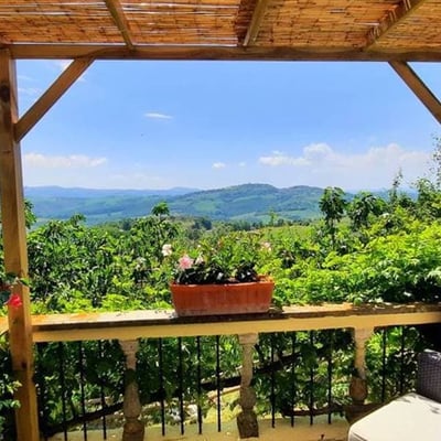 Villa Bianca | Elegant villa for 26 in the Val d'Orcia
