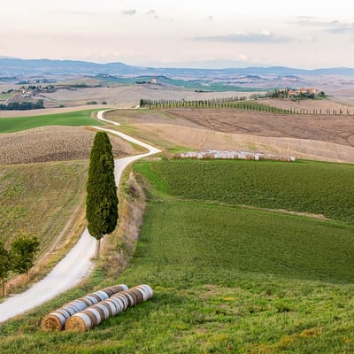 Villa Goga | Historic Villa and Pool near Siena