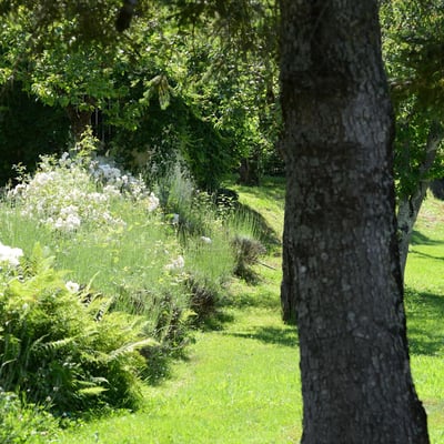 Orologio | Tuscan villa near Lucca and the Italian Riviera
