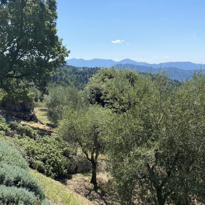 Villa Fobbia | Elegant Villa in the hills of Lucca