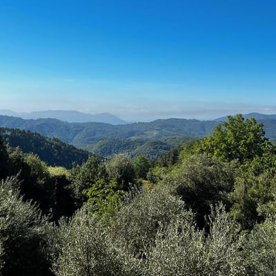 Villa Fobbia | Elegant Villa in the hills of Lucca