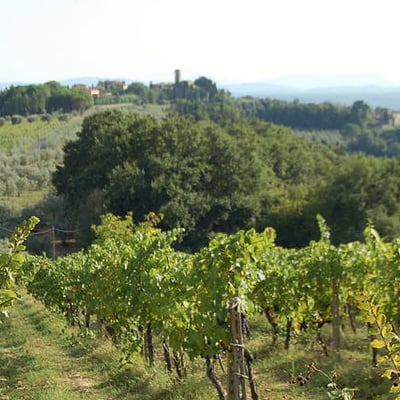 Dimora | Villa for 12 with AC and a large pool by Barberino val d'Elsa
