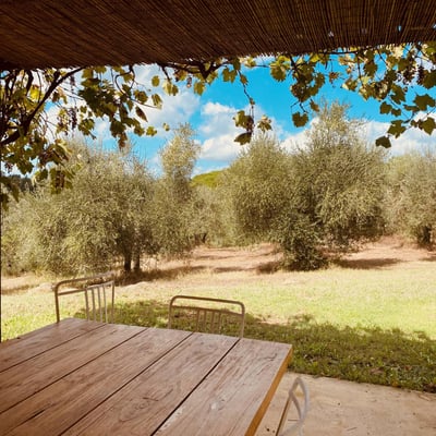Dimora | Villa for 12 with AC and a large pool by Barberino val d'Elsa