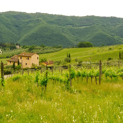 Enofila | Agriturismo for 5 on a wine estate near Florence