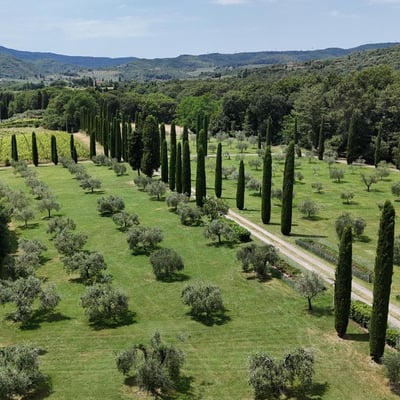 Podere Gregorio | 14th Century Three-House Chianti Estate for 22 with Pool and Cypress Avenue