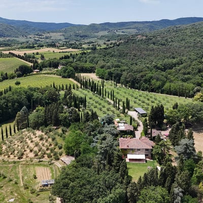 Podere Gregorio | 14th Century Three-House Chianti Estate for 22 with Pool and Cypress Avenue