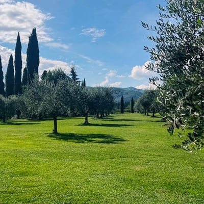 Podere Gregorio | 14th Century Three-House Chianti Estate for 22 with Pool and Cypress Avenue