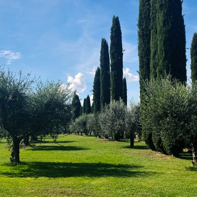 Podere Gregorio | 14th Century Three-House Chianti Estate for 22 with Pool and Cypress Avenue