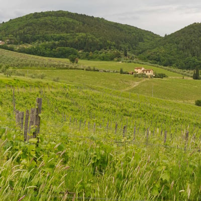 The Hay Loft | Agriturismo for 6 on an Italian wine estate