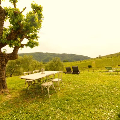 The Hay Loft | Agriturismo for 6 on an Italian wine estate