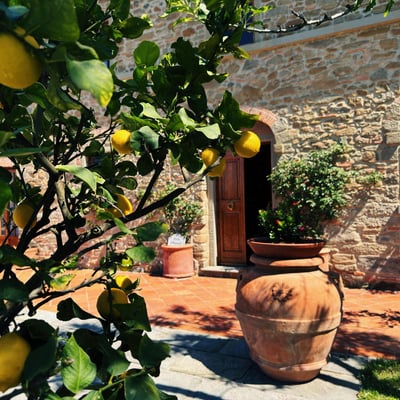 Villa Panicale | Stone Villa with spectacular views