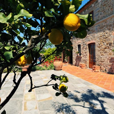 Villa Panicale | Stone Villa with spectacular views