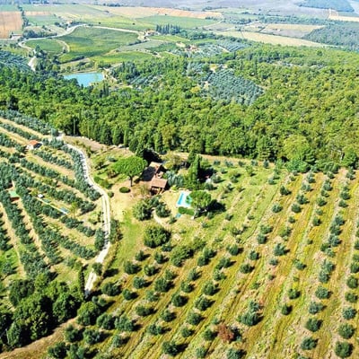Casa Allioni Villa for 6 in Tuscany