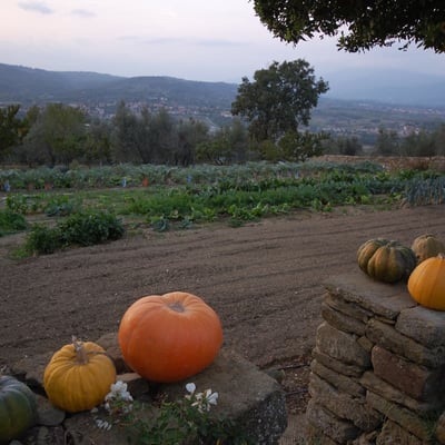 San Michele | Villa, Jacuzzi and pool overlooking Arezzo