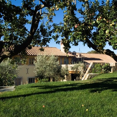 The gardens are spacious with plenty of spots to relax