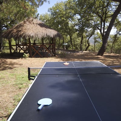 Table tennis