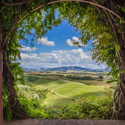 Glicine | Villa and pool in a small Tuscan village