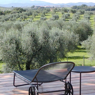 San Romito | Romantic apartment and roof terrace in Tuscan Olive Groves