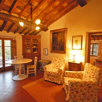San Romito | Romantic apartment and roof terrace in Tuscan Olive Groves