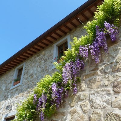 Castelonchio | Lakeside Villa for 6 with Pool by Tuoro sul Trasimeno