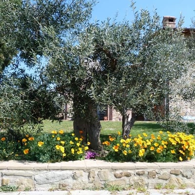 Castelonchio | Lakeside Villa for 6 with Pool by Tuoro sul Trasimeno