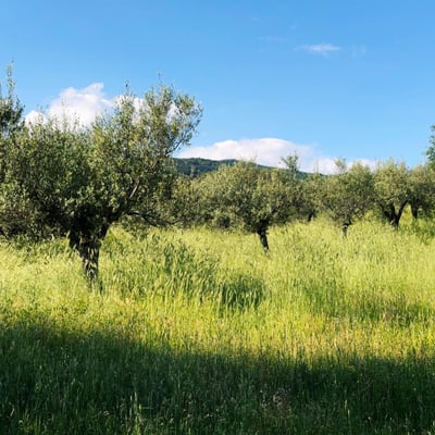 Castelonchio | Lakeside Villa for 6 with Pool by Tuoro sul Trasimeno