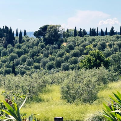 Castelonchio | Lakeside Villa for 6 with Pool by Tuoro sul Trasimeno