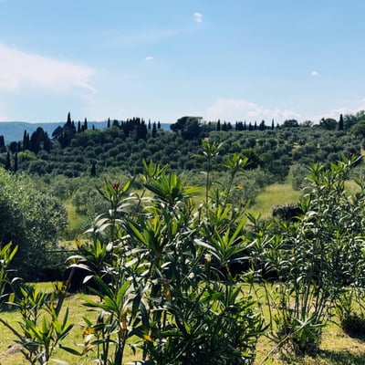 Castelonchio | Lakeside Villa for 6 with Pool by Tuoro sul Trasimeno
