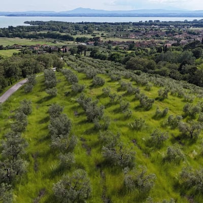 Castelonchio | Lakeside Villa for 6 with Pool by Tuoro sul Trasimeno