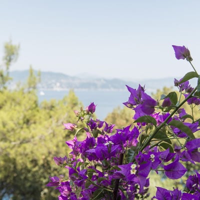 Faro | A splendid villa on the Italian Riviera