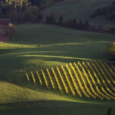 Torretta | Villa and Pool by village in Emilia-Romagna