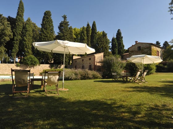 Sangiovese