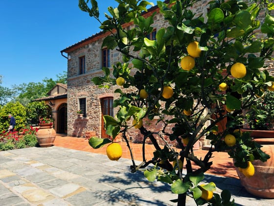 Villa Panicale